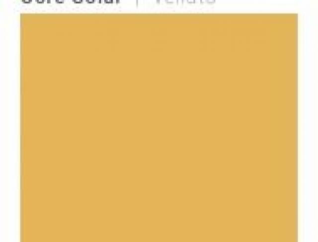 MDF DURATEX | Ocre Solar  |  Velluto